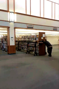 pulling a shelf of library books