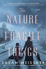 The Nature of Fragile Things by Susan Meissner (cover) Image: blue-toned picture of a woman and young girl holding hands and walking down railroad tracks with backs to camerai